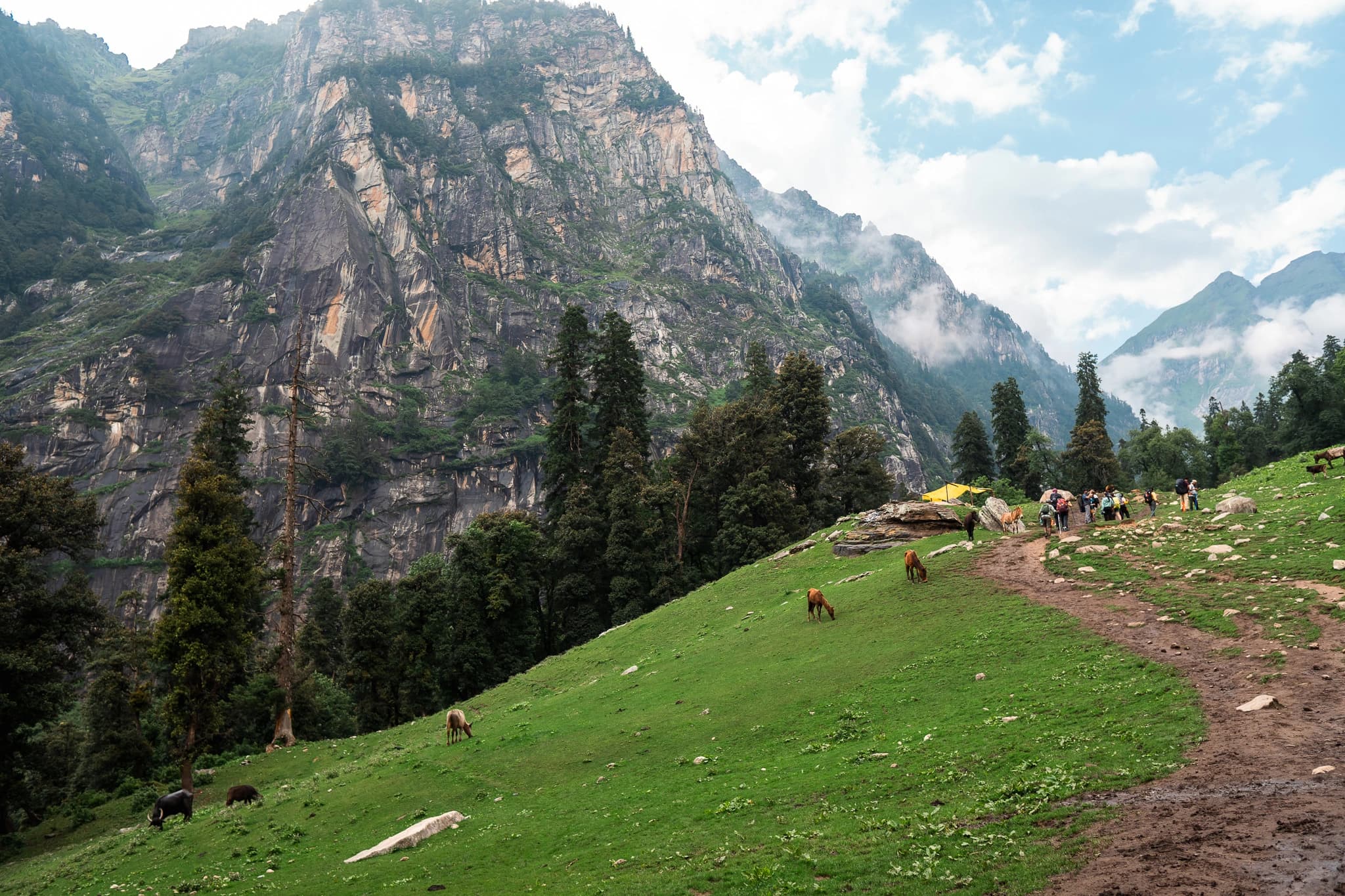 Trekkers on a mountain trail below a granite face, horses grazing on the meadow below